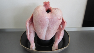 Kylling på grill før stegning